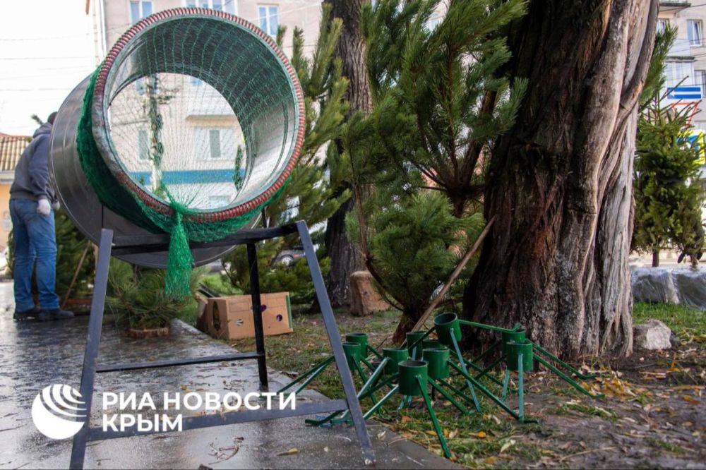 Сколько стоит новогодняя сосна в Симферополе? Сколько стоит новогодняя сосна в Симферополе?