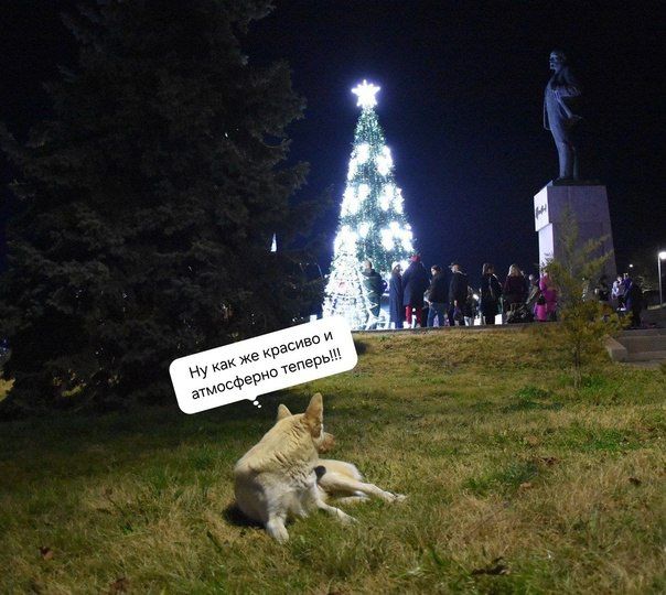На городской площади торжественно открыли новогоднюю елку На городской площади торжественно открыли новогоднюю елку