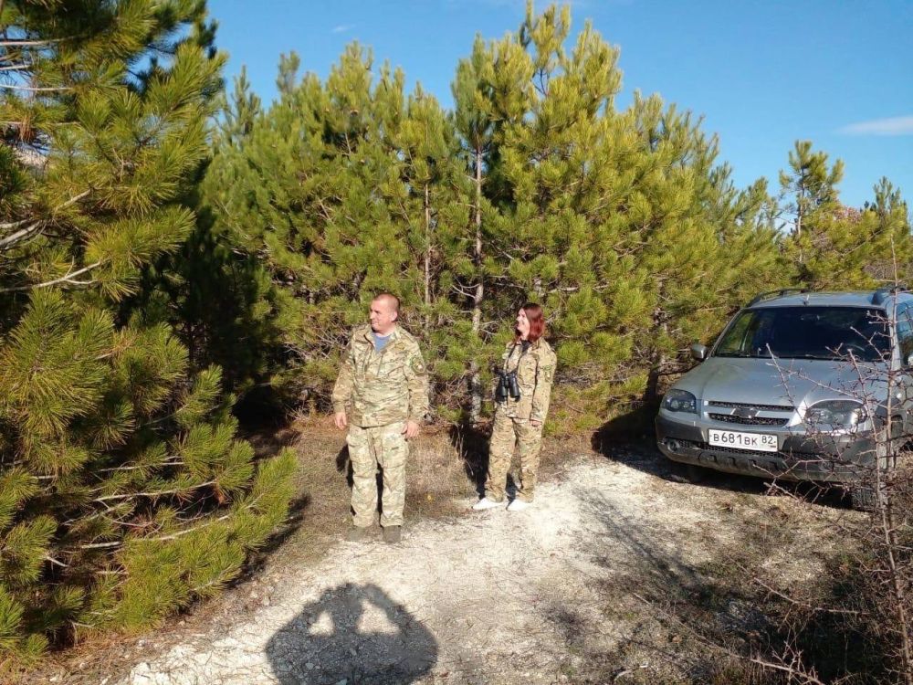 Ольга Славгородская: Я рассказывала вам, что в предновогодний период усилена охрана насаждений от незаконной рубки Ольга Славгородская: Я рассказывала вам, что в предновогодний период усилена охрана насаждений от незаконной рубки