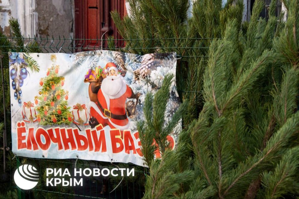Сколько стоит новогодняя сосна в Симферополе? Сколько стоит новогодняя сосна в Симферополе?