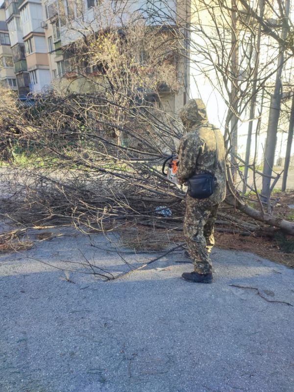 В Ялте оперативно устраняют последствия урагана В Ялте оперативно устраняют последствия урагана