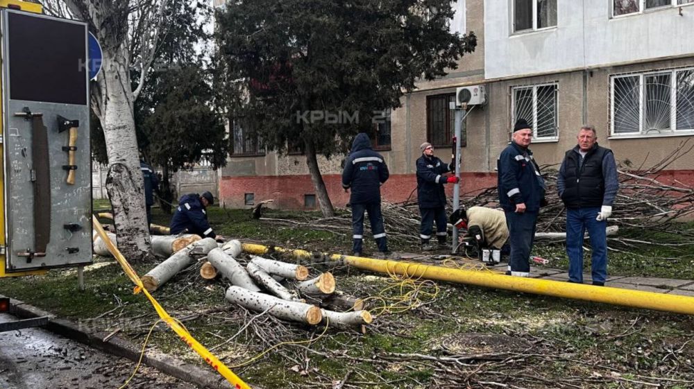 В Керчи упавший тополь повредил газовую трубу В Керчи упавший тополь повредил газовую трубу