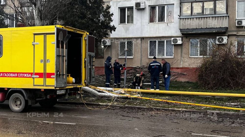В Керчи упавший тополь повредил газовую трубу В Керчи упавший тополь повредил газовую трубу