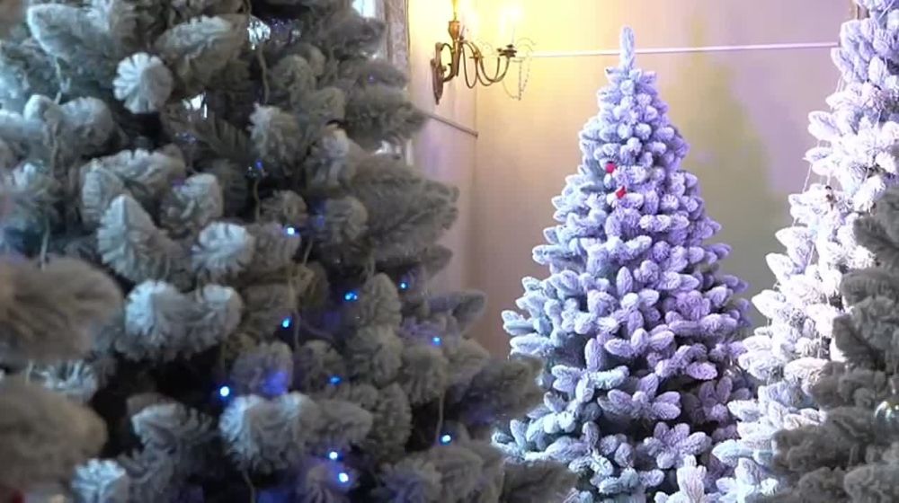 Михаил Развожаев: В Севастополе состоялись «Губернаторские ёлки»