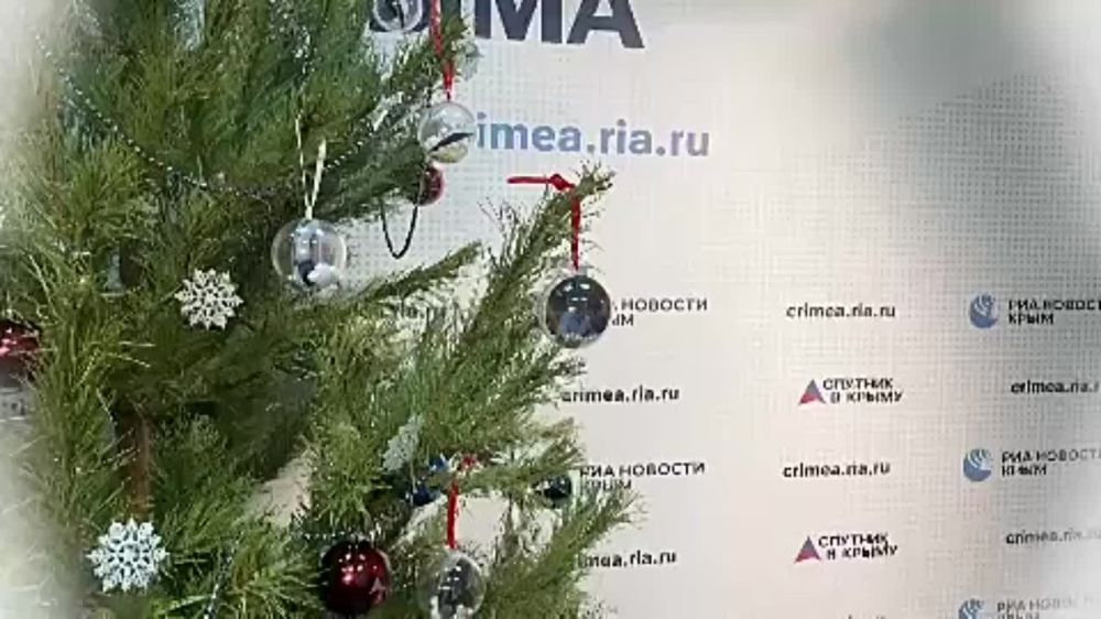 "Елка желаний" от РИА Новости Крым помогла осуществить мечты 20 воспитанников интерната