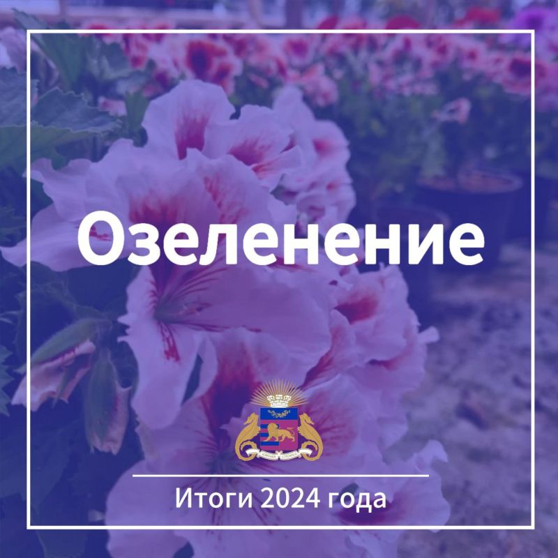 ����� 2024 ����: ����������