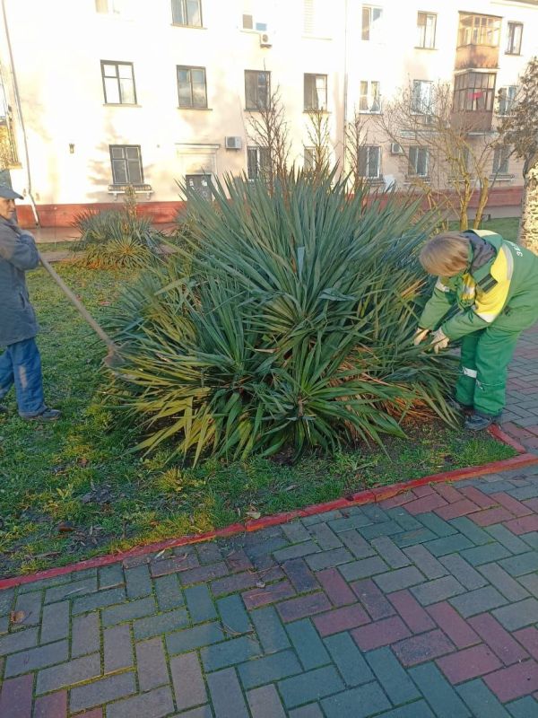 #зеленые_насаждения. В Керчи продолжается систематическая работа по уходу за зелеными насаждениями #зеленые_насаждения. В Керчи продолжается систематическая работа по уходу за зелеными насаждениями