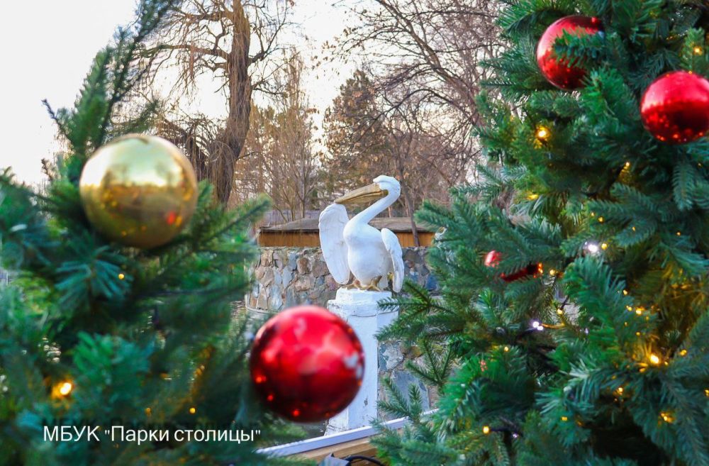 Симферопольский зооуголок украсили к Новому году Симферопольский зооуголок украсили к Новому году