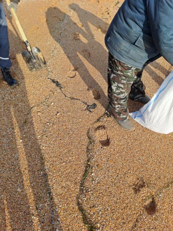Ликвидация последствий разлива мазута в Керченском проливе продолжается Ликвидация последствий разлива мазута в Керченском проливе продолжается
