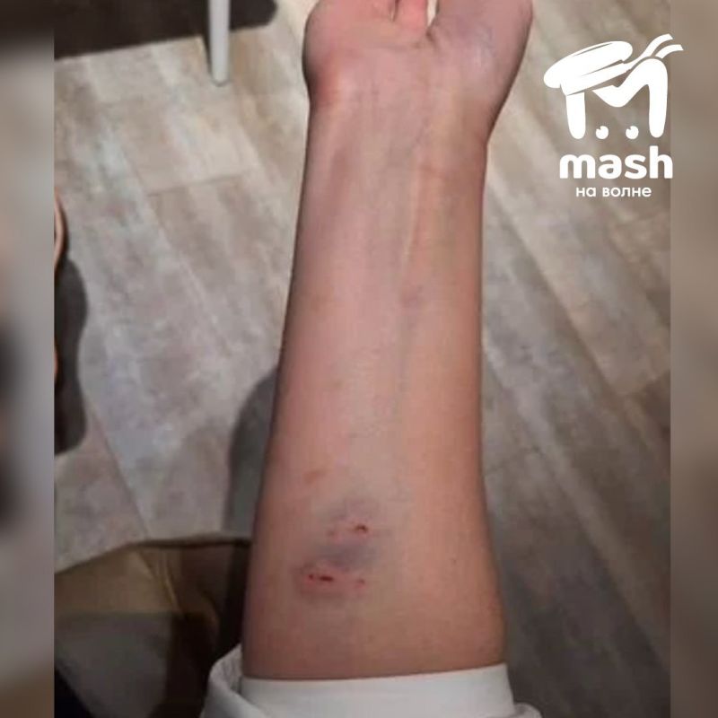 Жительница Севастополя поделилась эмоциями от покупки двух норок — её жизнь превратилась в хоррор Жительница Севастополя поделилась эмоциями от покупки двух норок — её жизнь превратилась в хоррор