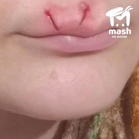 Жительница Севастополя поделилась эмоциями от покупки двух норок — её жизнь превратилась в хоррор Жительница Севастополя поделилась эмоциями от покупки двух норок — её жизнь превратилась в хоррор