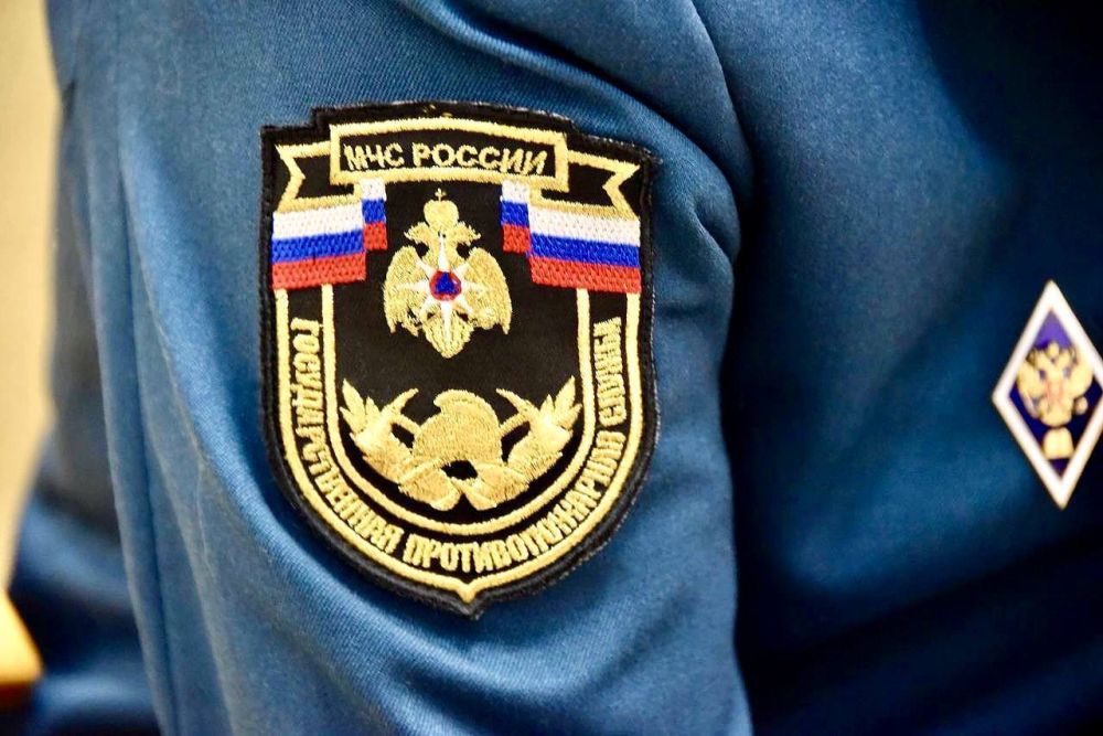 Владимир Немцев: Сегодня отмечается День спасателя Российской Федерации Владимир Немцев: Сегодня отмечается День спасателя Российской Федерации