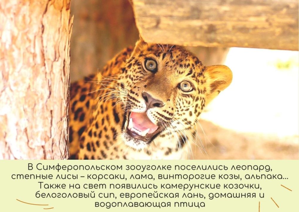 Вспоминаем уходящий год. Каким он был для "Парков столицы"? Вспоминаем уходящий год. Каким он был для "Парков столицы"?
