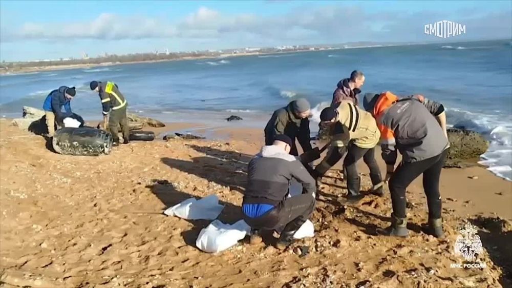 Два загрязненных мазутом участка нашли на побережье Крыма, сообщает МЧС России
