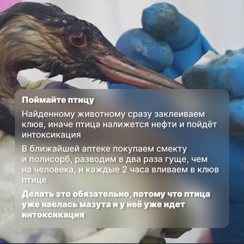 Мазутное пятно обнаружили на входе в Балаклавскую бухту Мазутное пятно обнаружили на входе в Балаклавскую бухту