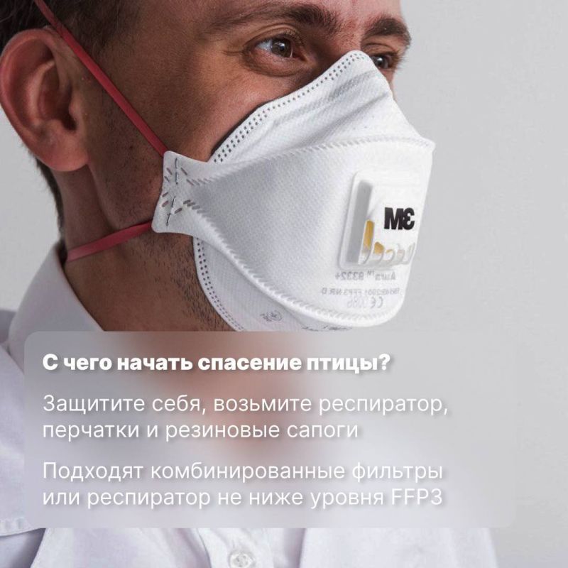 Мазутное пятно обнаружили на входе в Балаклавскую бухту Мазутное пятно обнаружили на входе в Балаклавскую бухту