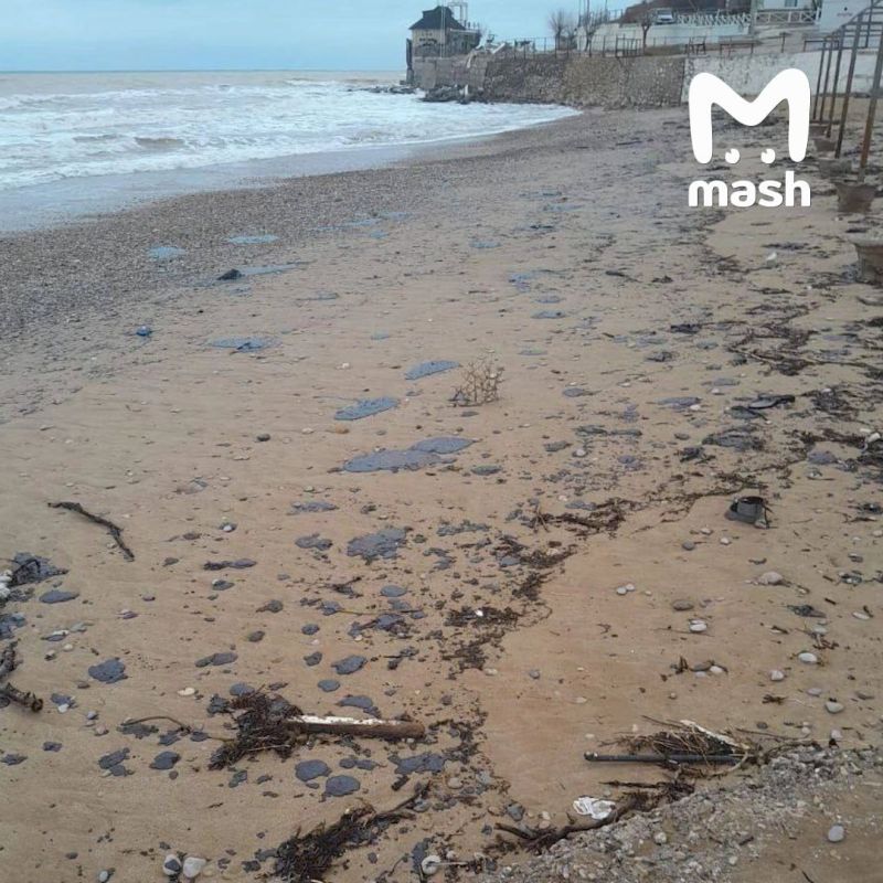 Мазут добрался до элитной виллы Алсу в Орловке в Крыму Мазут добрался до элитной виллы Алсу в Орловке в Крыму