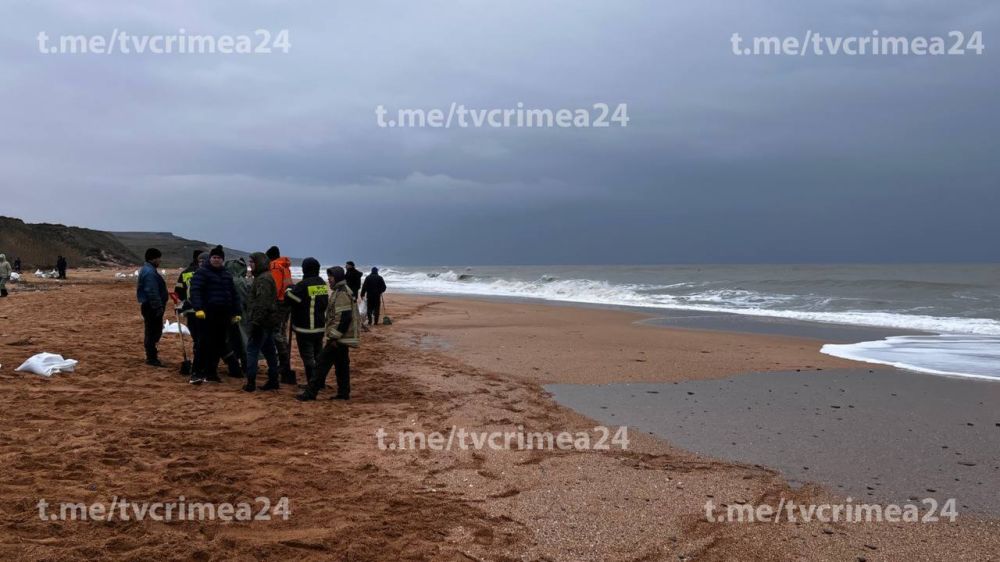В Ленинском районе Крыма обнаружили новые пятна мазута В Ленинском районе Крыма обнаружили новые пятна мазута