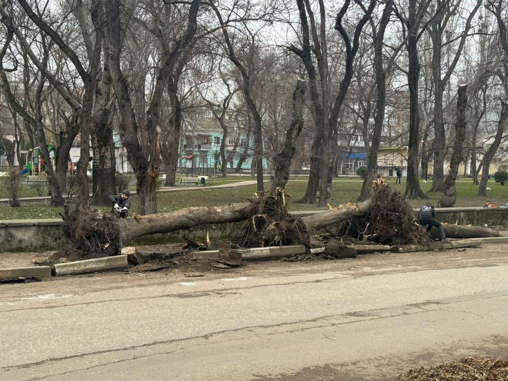 Игорь Ткаченко: Несмотря на новогодние каникулы, работы в городе по улицам Ленина и Горького продолжаются с полной интенсивностью Игорь Ткаченко: Несмотря на новогодние каникулы, работы в городе по улицам Ленина и Горького продолжаются с полной интенсивностью
