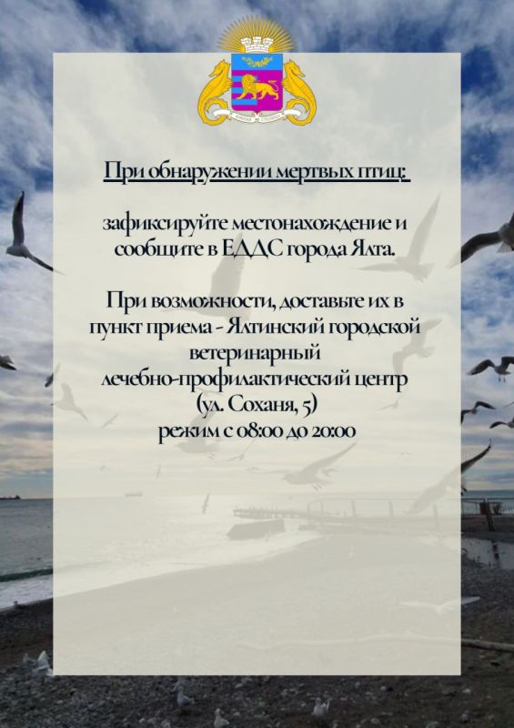 Продолжаем работу по спасению птиц, пострадавших от разлива нефтепродуктов в Керченском проливе Продолжаем работу по спасению птиц, пострадавших от разлива нефтепродуктов в Керченском проливе