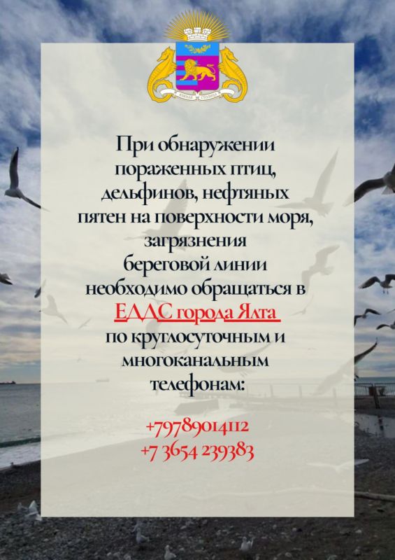Продолжаем работу по спасению птиц, пострадавших от разлива нефтепродуктов в Керченском проливе Продолжаем работу по спасению птиц, пострадавших от разлива нефтепродуктов в Керченском проливе