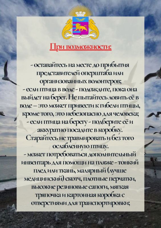 Продолжаем работу по спасению птиц, пострадавших от разлива нефтепродуктов в Керченском проливе Продолжаем работу по спасению птиц, пострадавших от разлива нефтепродуктов в Керченском проливе