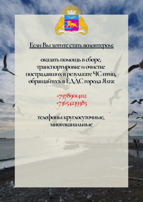 Продолжаем работу по спасению птиц, пострадавших от разлива нефтепродуктов в Керченском проливе Продолжаем работу по спасению птиц, пострадавших от разлива нефтепродуктов в Керченском проливе