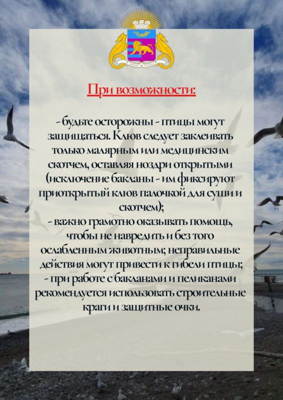 Продолжаем работу по спасению птиц, пострадавших от разлива нефтепродуктов в Керченском проливе Продолжаем работу по спасению птиц, пострадавших от разлива нефтепродуктов в Керченском проливе