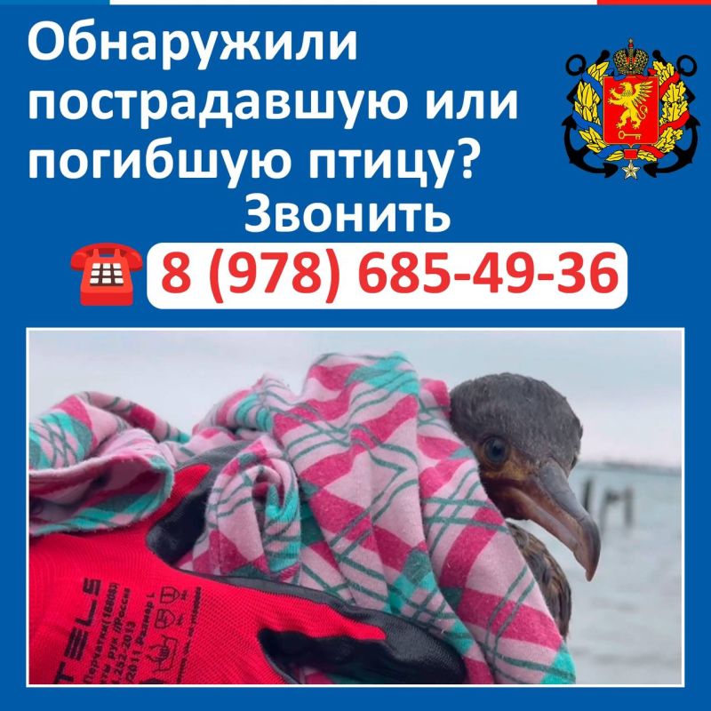 Уважаемые керчане!. ВАЖНО Если вы: Уважаемые керчане!. ВАЖНО Если вы: