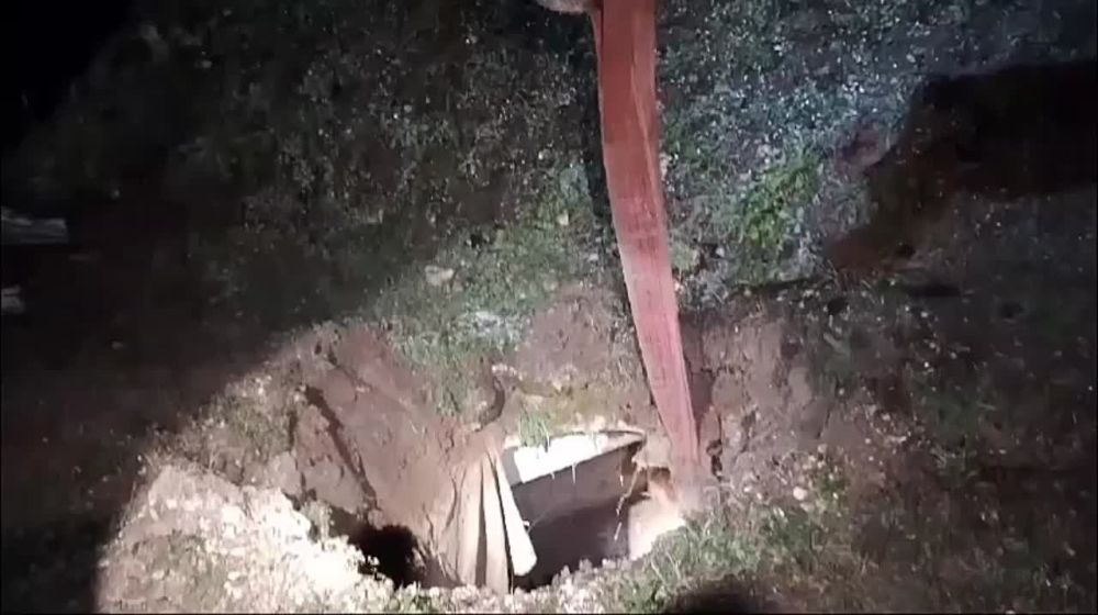 ������ ����������� � ��������������� ��� � �������