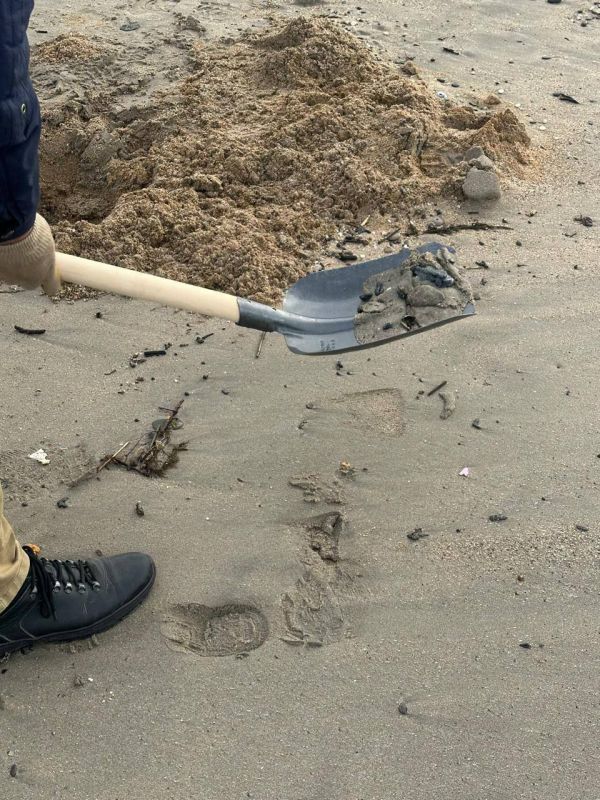 В Евпатории формируют списки волонтеров для очистки побережья от мазута В Евпатории формируют списки волонтеров для очистки побережья от мазута