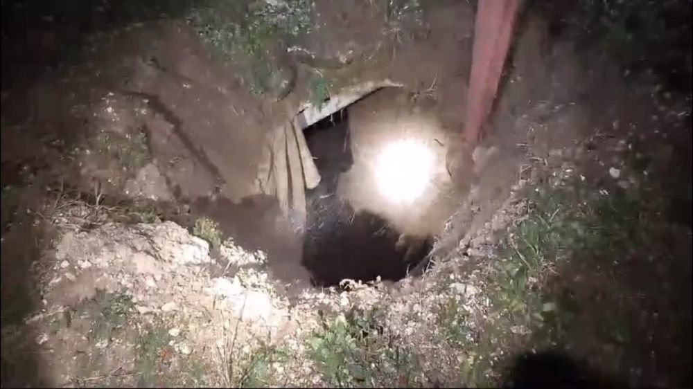 � ٸ����� ��������� ������� ������ �� 4-� �������� ���