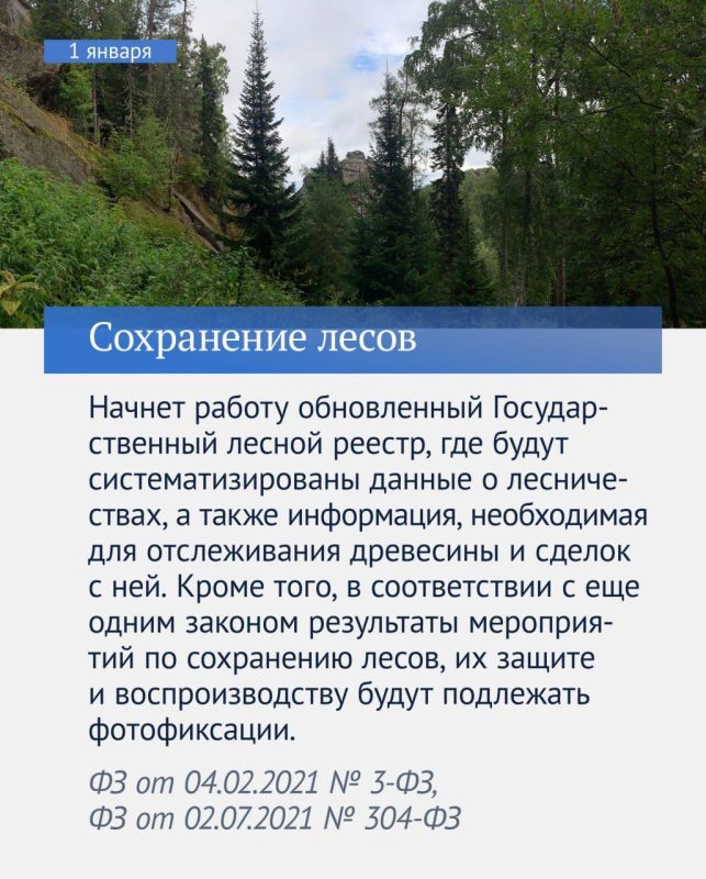 Владимир Немцев: Какие законы вступают в силу в январе 2025 года Владимир Немцев: Какие законы вступают в силу в январе 2025 года
