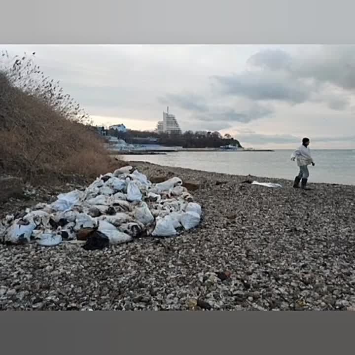 В Анапе обнаружили новые выбросы мазута на берег