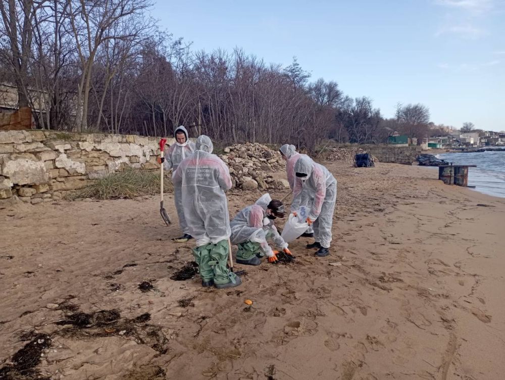 #городские_новости. Мониторинговые группы продолжают работу по выявлению мест загрязнения нефтепродуктами. По состоянию на сегодняшнее утро установлено 3 повторных факта незначительного загрязнения береговой линии #городские_новости. Мониторинговые группы продолжают работу по выявлению мест загрязнения нефтепродуктами. По состоянию на сегодняшнее утро установлено 3 повторных факта незначительного загрязнения береговой линии