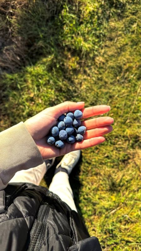 Пещерный город Бакла — памятник древней архитектуры и охраняется государством Пещерный город Бакла — памятник древней архитектуры и охраняется государством