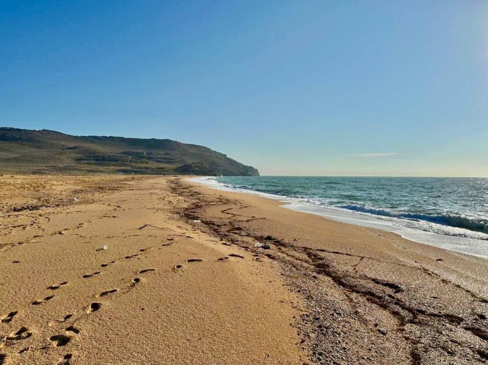 ����������� �������� ������������ ����� ������������ ������� ���� ��� ����������� ������