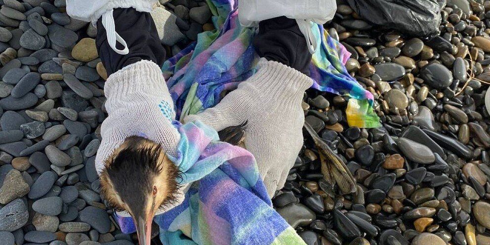 � ��������� ������ � ������ ����� ������������ ������������ ��������, ������������ �� �������� ������ ������, ������������ �� ������� �������������� � ���������� �������