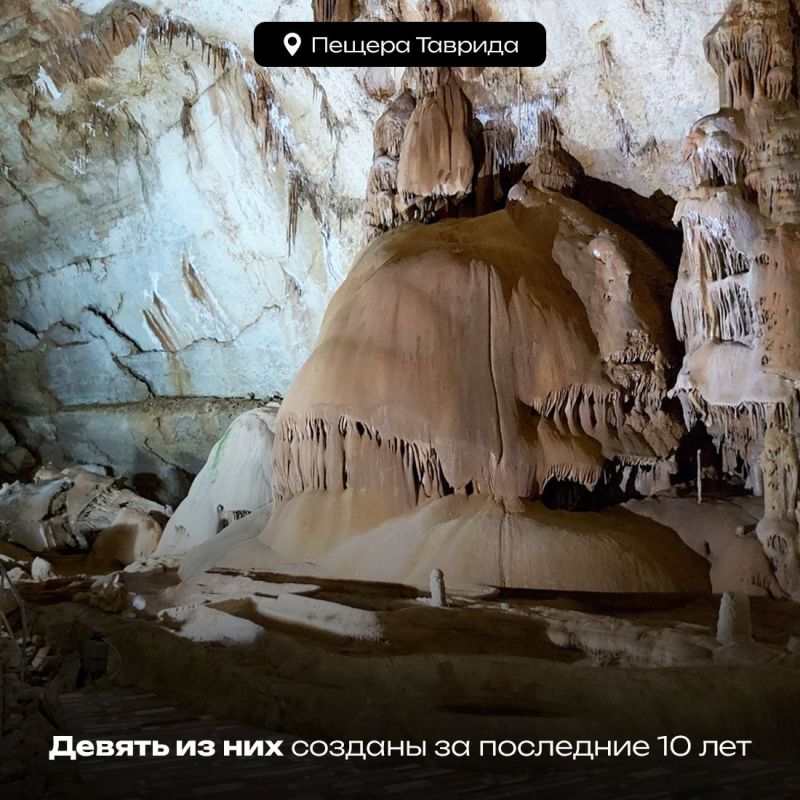 11 января в России отмечается День заповедников и национальных парков 11 января в России отмечается День заповедников и национальных парков