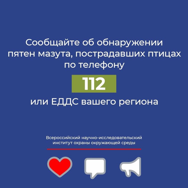 Разработаны рекомендации по работе с птицами пострадавшими от загрязнения мазутом в Черном море Разработаны рекомендации по работе с птицами пострадавшими от загрязнения мазутом в Черном море