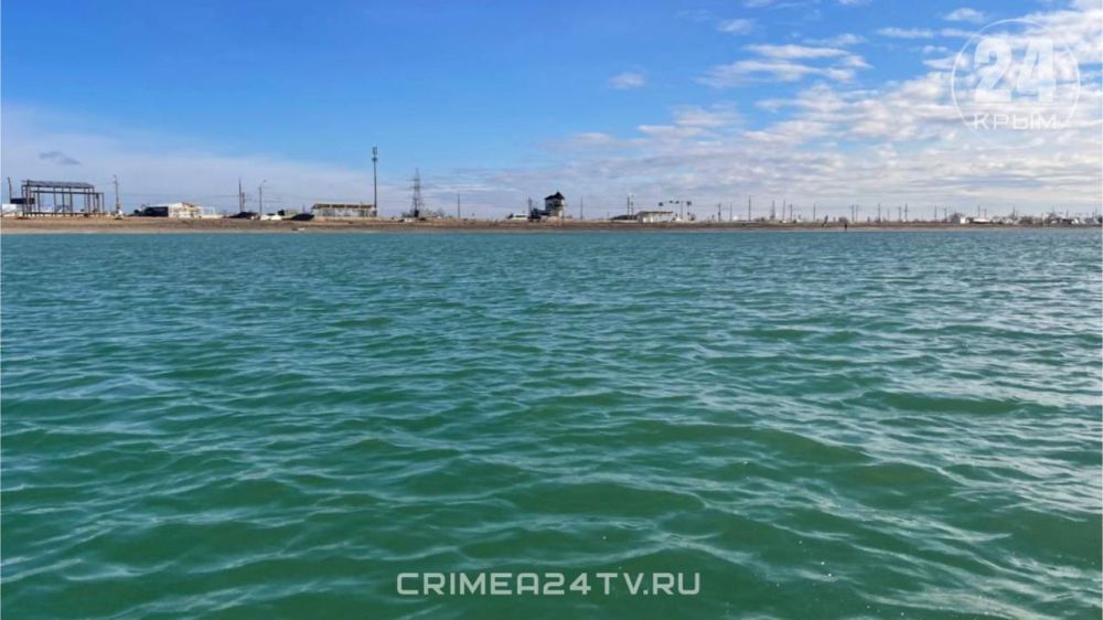 На западе Крыма спасатели выходят в море на лодках для мониторинга ситуации с мазутом На западе Крыма спасатели выходят в море на лодках для мониторинга ситуации с мазутом