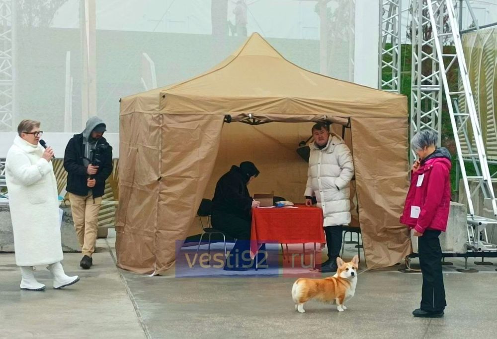 В «Новом Херсонесе» сегодня проходит благотворительная выставка собак В «Новом Херсонесе» сегодня проходит благотворительная выставка собак