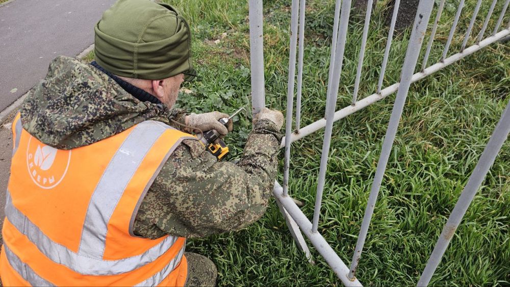 Сегодня в городе появились 4 точки, куда можно отнести новогодние ёлки для переработки Сегодня в городе появились 4 точки, куда можно отнести новогодние ёлки для переработки
