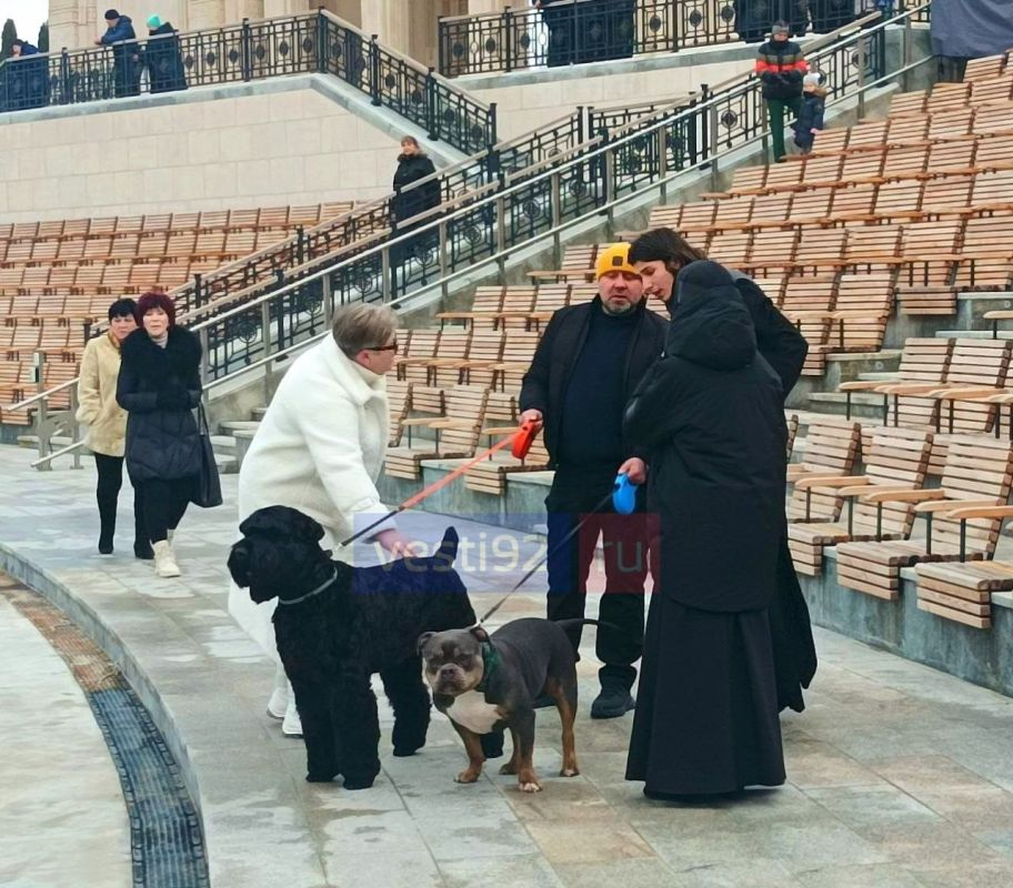 В «Новом Херсонесе» сегодня проходит благотворительная выставка собак В «Новом Херсонесе» сегодня проходит благотворительная выставка собак