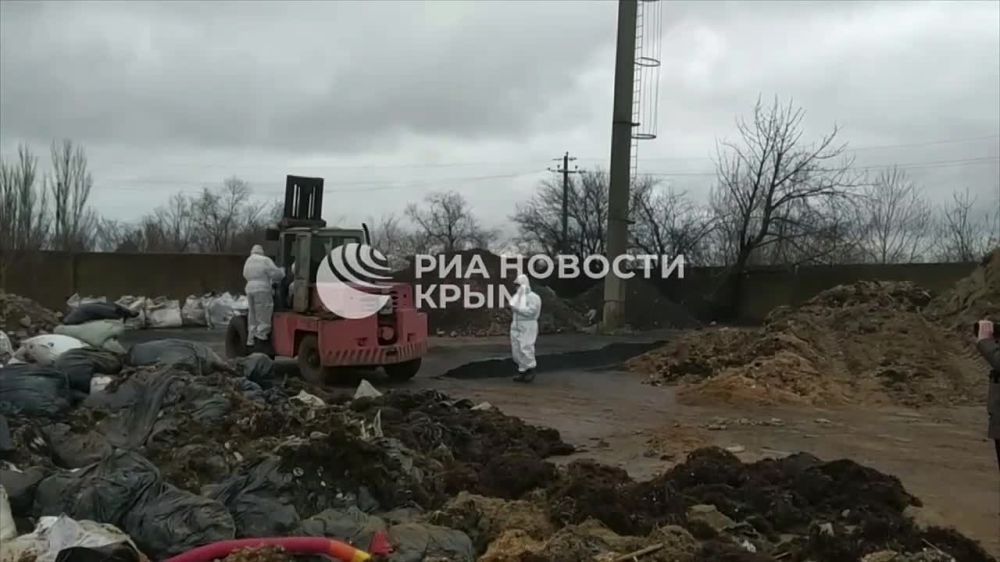 ����������� � ������� �������������� ����� � ���������