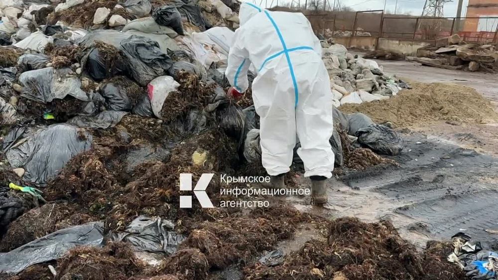 ��������� ����� �������� �������� �����, ��������� � ������ ������������ �� ����������� �������� � �������