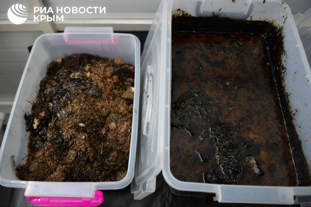 �����, ��������� �� �������� ��������� ����������� � �������, ���������� � �����������