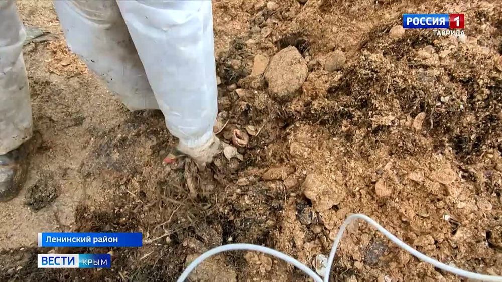 ��������� ����� � ������ ���������� �� ����������� �������� � ������ ٸ����� ��� �����������