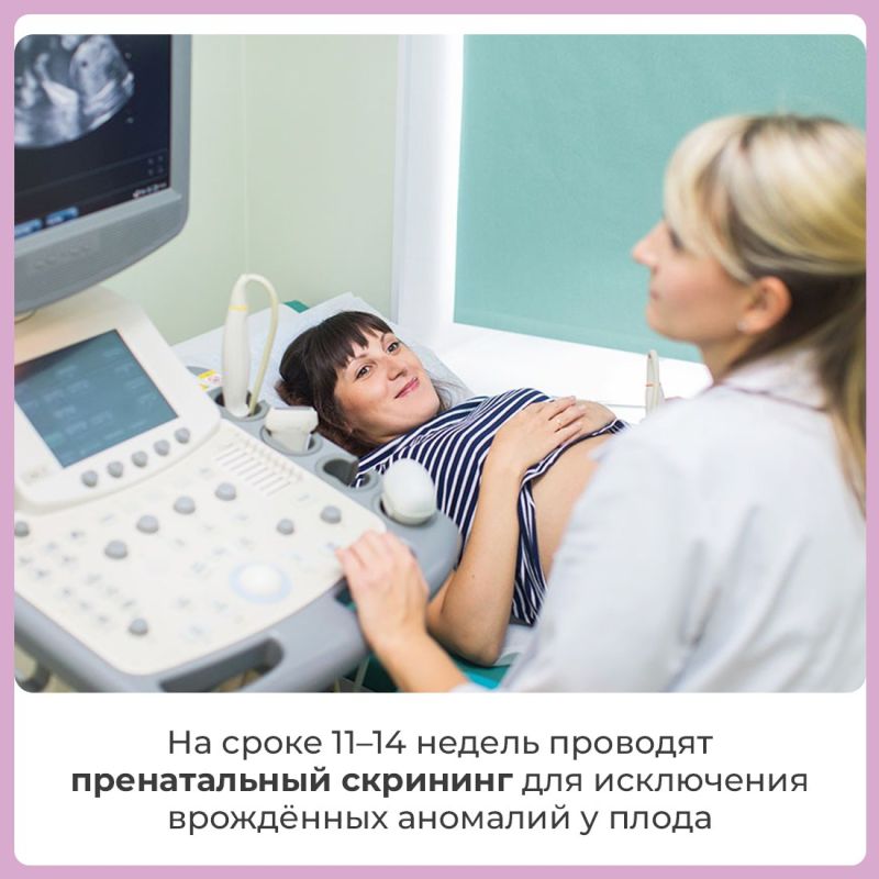 Встать на медицинский учёт важно в первом триместре беременности Встать на медицинский учёт важно в первом триместре беременности