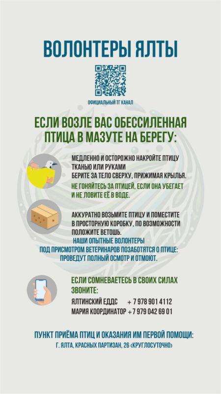 Продолжаем работу по спасению птиц, пострадавших от разлива нефтепродуктов в Керченском проливе